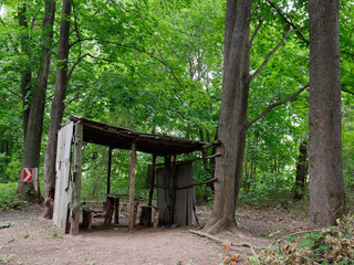 gazebo for relaxing in a dark forest