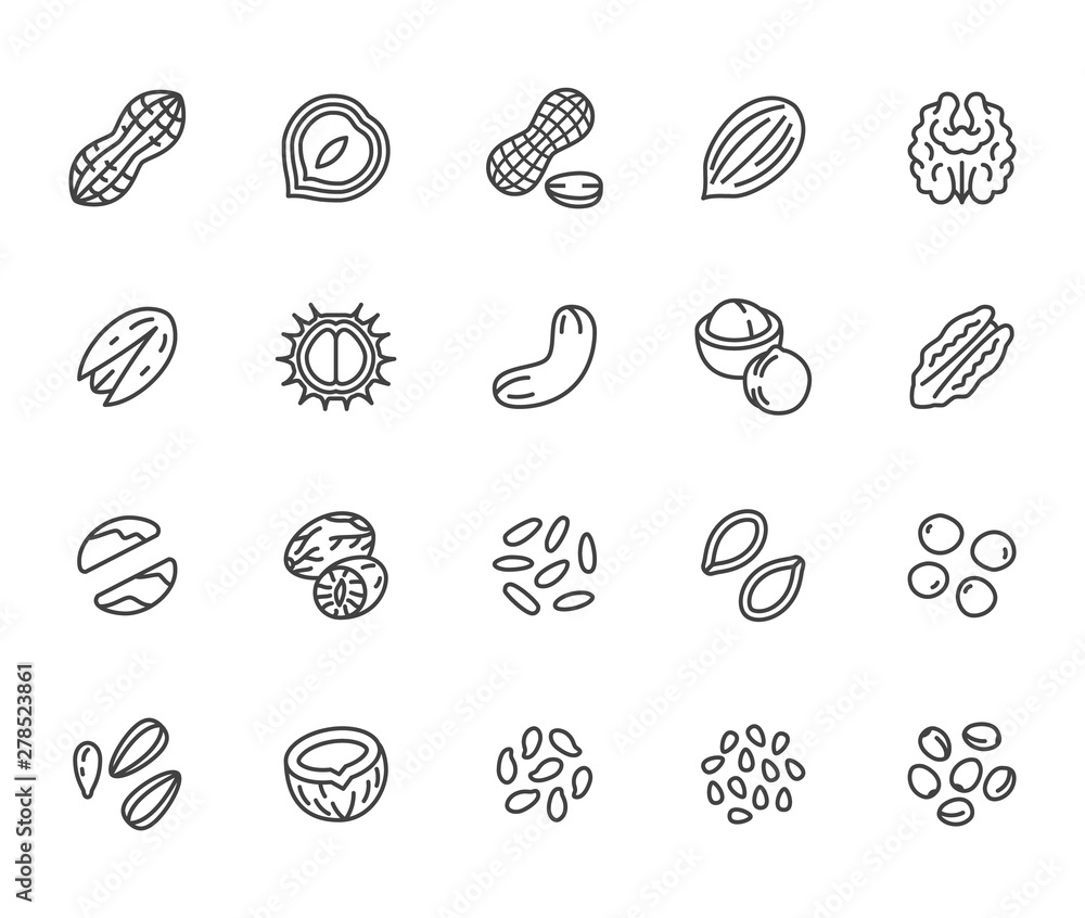 Wall mural nuts flat line icons set. peanut, almond, chestnut, macadamia, cashew, pistachio, pine seeds vector 