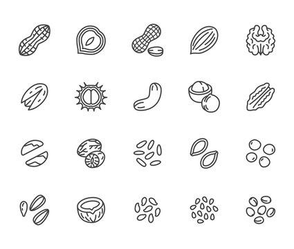 Nuts flat line icons set. Peanut, almond, chestnut, macadamia, cashew, pistachio, pine seeds vector illustrations. Outline signs for healthy food store. Pixel perfect 64x64. Editable Strokes