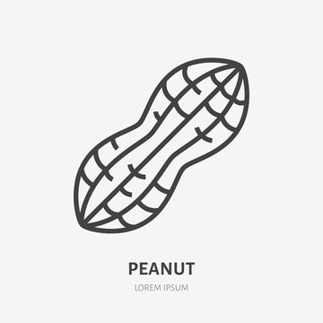 Peanut Vector Images – Browse 33,756 Stock Photos, Vectors, and Video |  Adobe Stock