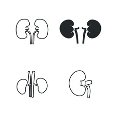 Kidney icons set, Vector illustration. Organs icons vector