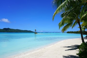 Fototapeta na wymiar View of a tropical landscape with palm trees, white sand and the turquoise lagoon water in Bora Bora, French Polynesia, South Pacific