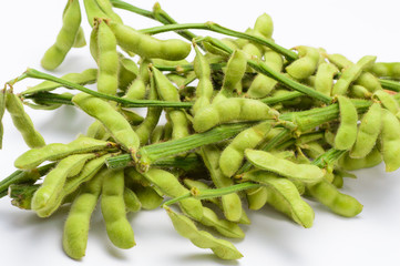 夏の味覚　枝付き枝豆