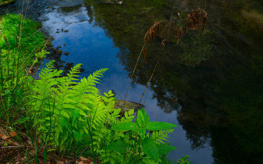 Gorges of Kamenice River, Bohemian Switzerland National Park, Czech Republic, Europe