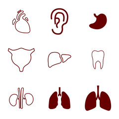 Organ icons set. Vector illustration