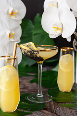 Exotischer Cocktail mit Orchideen