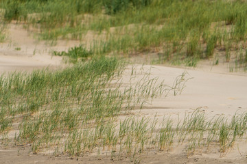 Sanddünen an der Nordseeküste