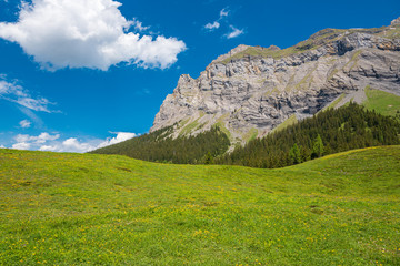 Obraz premium Scenic view between Oeschinen mountain station and Oeschinensee lake close to Kandersteg