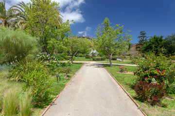 Fototapeta na wymiar Public park, spring day, Rose Garden, Parc Cervantes in Les Corts quarter of Barcelona, Catalonia, Spain.
