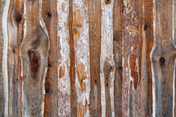 fence from slab. The wall of the wooden slab. Dwelling for the poor from wood waste.