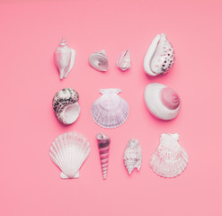 Various sea shells on pastel pink background, top view. Creative layout. Flat lay. Summer concept
