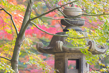 Autumn