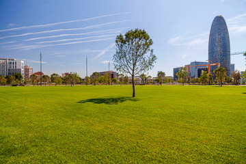 Public garden park, Parc de les Glories, Barcelona, Catalonia, Spain.