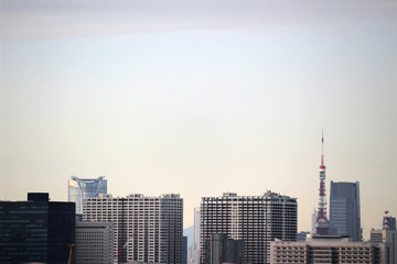 Fototapeta na wymiar A view of the apartment complex in Tokyo Bay area and Tokyo Tower