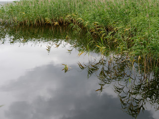 Obraz na płótnie Canvas perfect spot on a fishing rod pond.