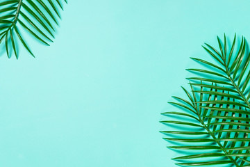 Palm leaves on blue top view.
