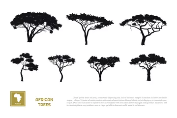 Foto op Aluminium Black silhouettes of african trees on white background. Isolated image of savannah nature. Forest landscape of Africa. Acacia icons © shaineast