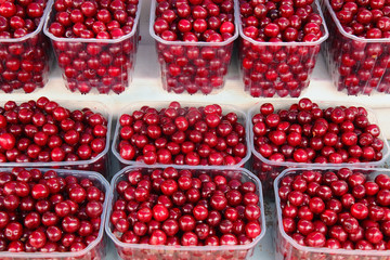Red berries in plastic boxes