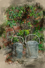 Digital watercolour painting of Two old watering cans in vintage style image of English contry garden