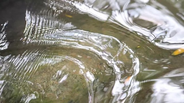 Close up of clean stream water flowing over big rock in mountain river, slow motion and shallow depth of field, beautiful nature landscape background.