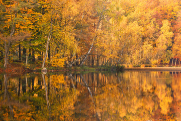 Beautiful, colorful autumn lake. Pomerania, Poland