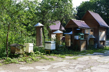 apiary in the village. many types of home-made hives.