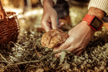 Hands of a man cutting a big mushroom.