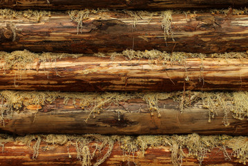 Planed logs warmed by moss