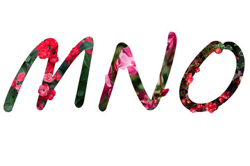 FLOWERS WRITTEN IN LETTERS WITH EFFECT OF VOLUME OBJECTS