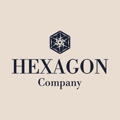 Abstract Hexagon or Monogram Logo Design Vector