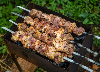 cook shashlik on the grill with coal in the street