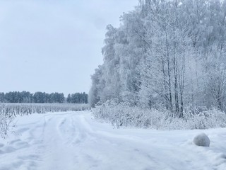 winter, snowy road in a desert forest on a frosty day