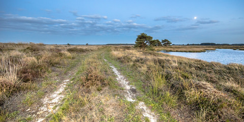 Natural heathland landscape near Hijken