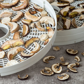 Drying fresh mushrooms in the dryer at home. Selective focus.