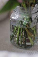 bottle of olive oil with herbs and spices