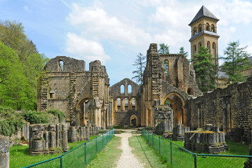Fototapeta premium Orval, le rovine dell'antica Abbazia trappista - Belgio