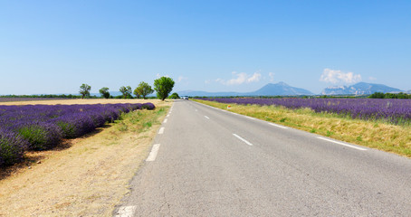 view of country road