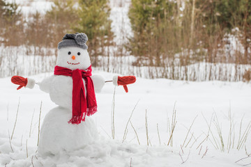 snowman in red scarf in forest