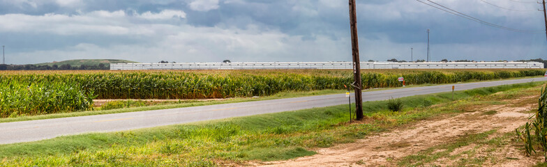 Corn Fields and Production Plants