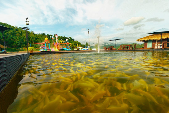 ruk nam resort