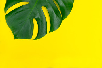 Fototapeta na wymiar Tropical leaves of Monstera flower on a yellow background. Creative layout of these tropical leaves on a bright yellow phone. Summer concept. Flat image with copy space.