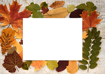 Naklejka na ściany i meble Autumn composition with leaves on a wooden background and white paper sheet with text space