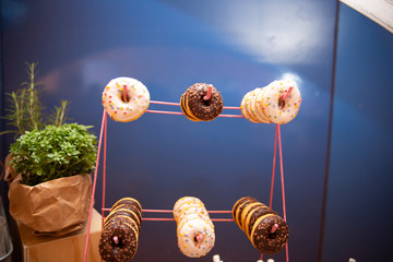 catering whit food and beverages