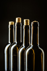 Wine bottle on a dark black background