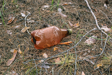 Brown plastic bottle on the ground in a pine forest.