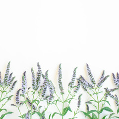 Yellow background with blooming mint branches.