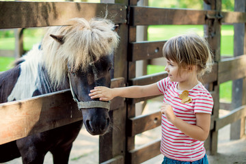 The little girl petting a pony in the zoo through a wooden fence