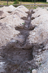 The process of preparing the land for planting grapes. Digging holes