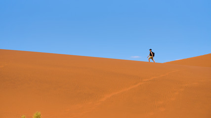 Fototapeta na wymiar Tourist walks on the scenic dunes of Sossusvlei in the Namib desert, Namibia