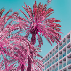 Beach hotel and palms in infrared style. Travel minimalism and surreal. Soft light pink and blue...